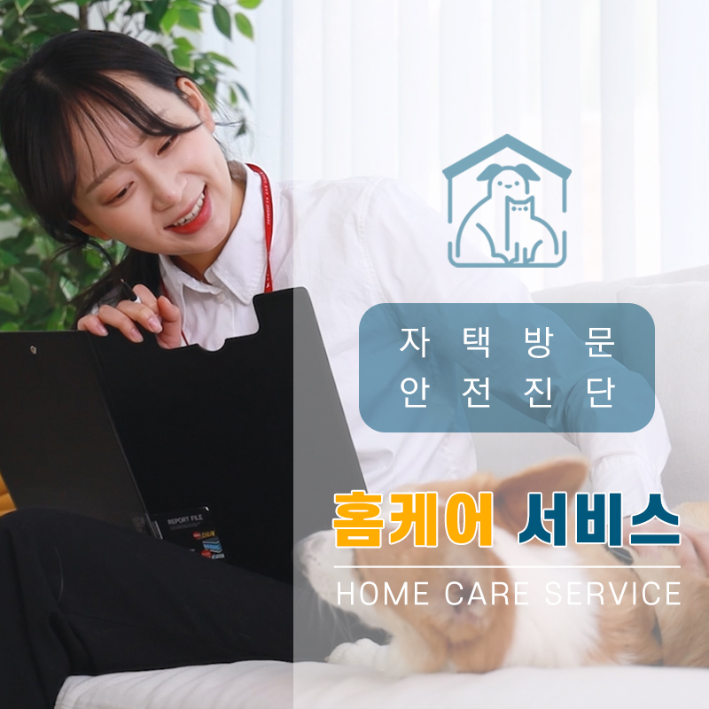 ★ 도그마루 홈케어 서비스 실시 ★