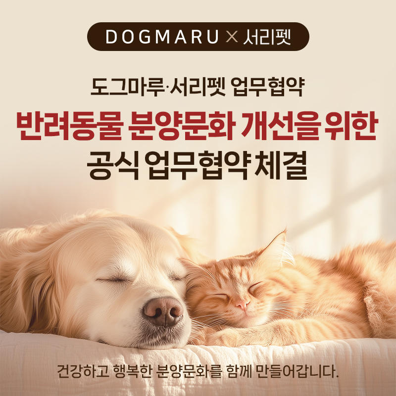 도그마루X서리펫 업무협약 체결