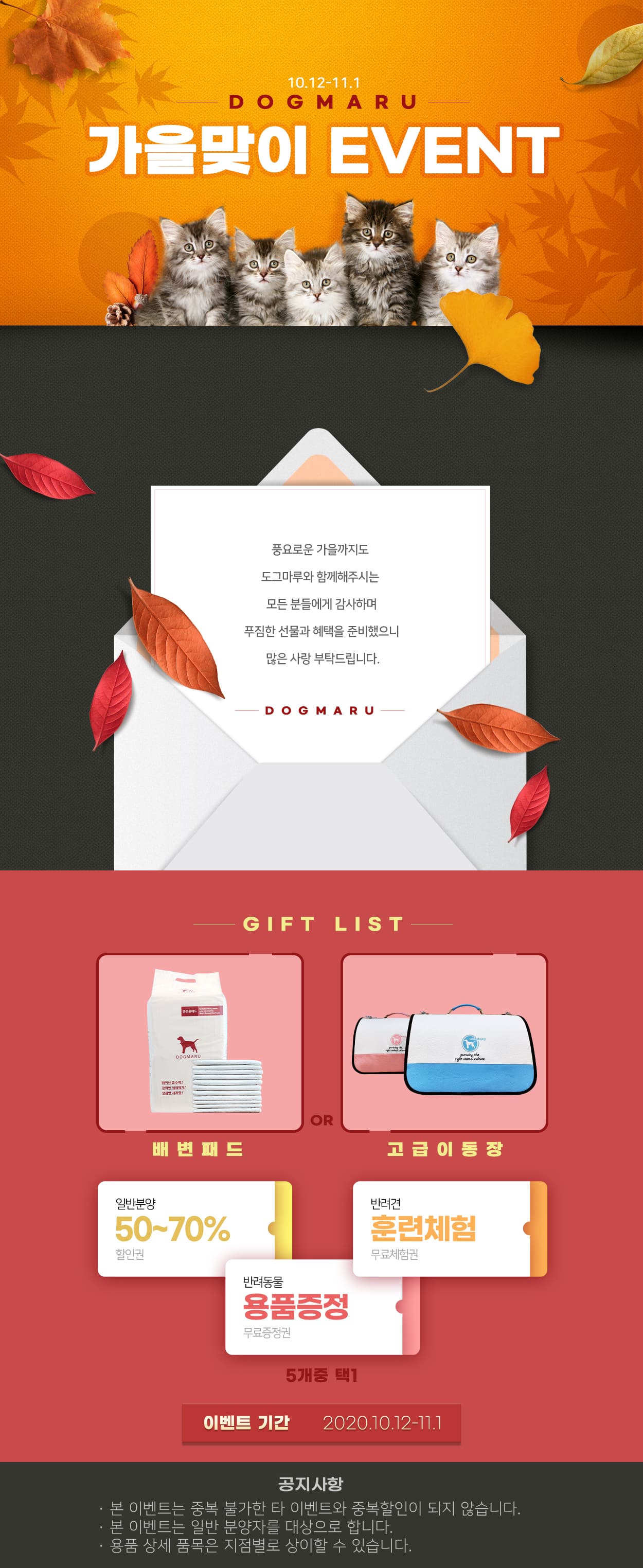 ★도그마루 가을맞이 이벤트★