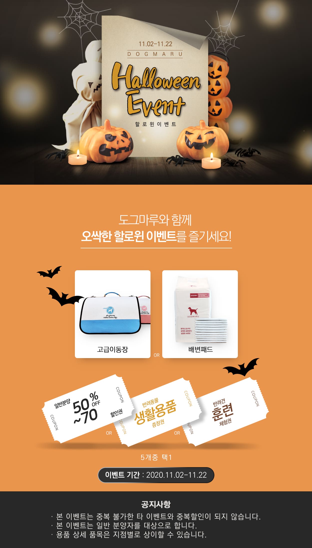 ★도그마루 할로윈 이벤트★