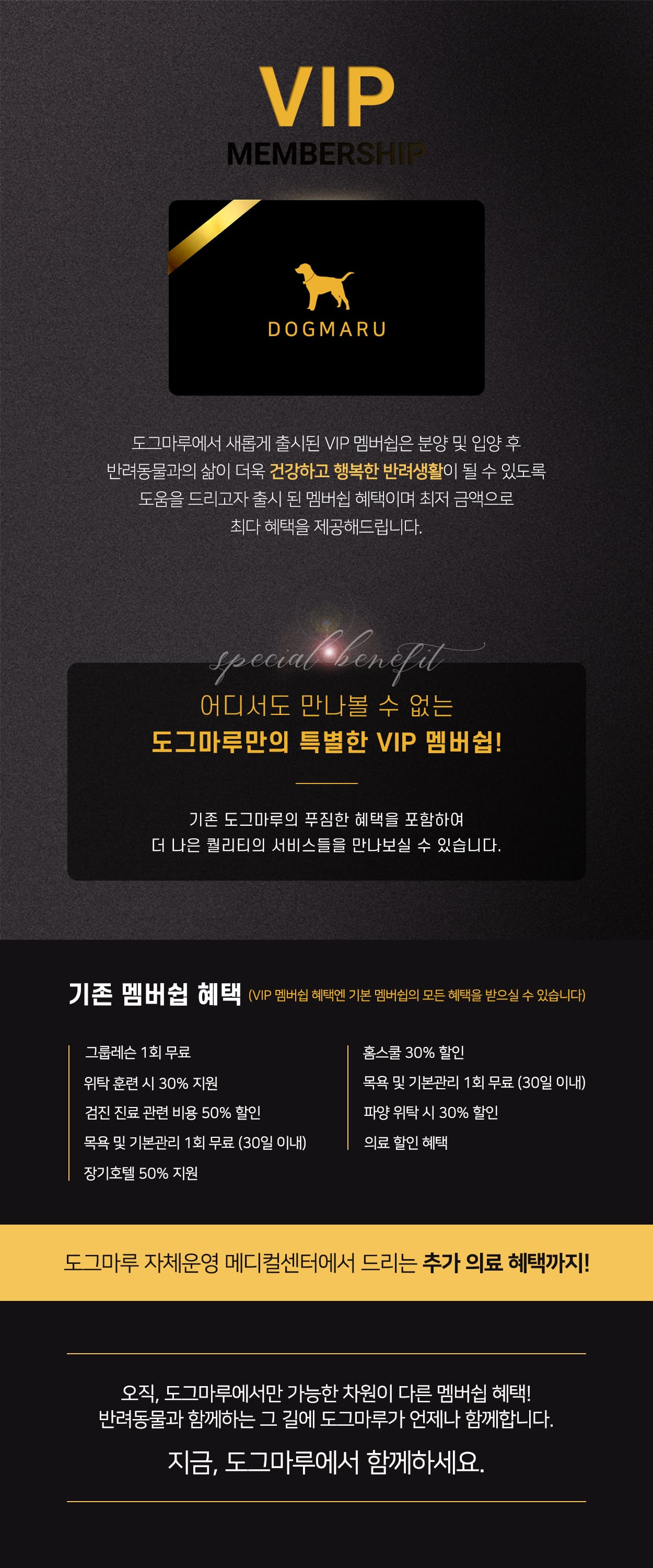 ★도그마루 VIP 멤버쉽 출시★