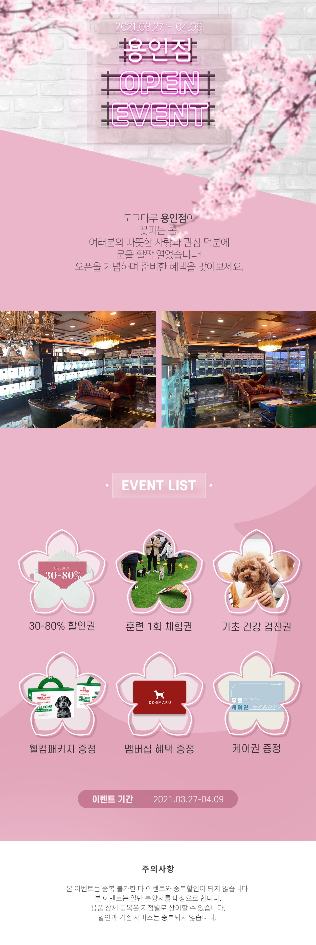 ★도그마루 용인점 오픈이벤트★