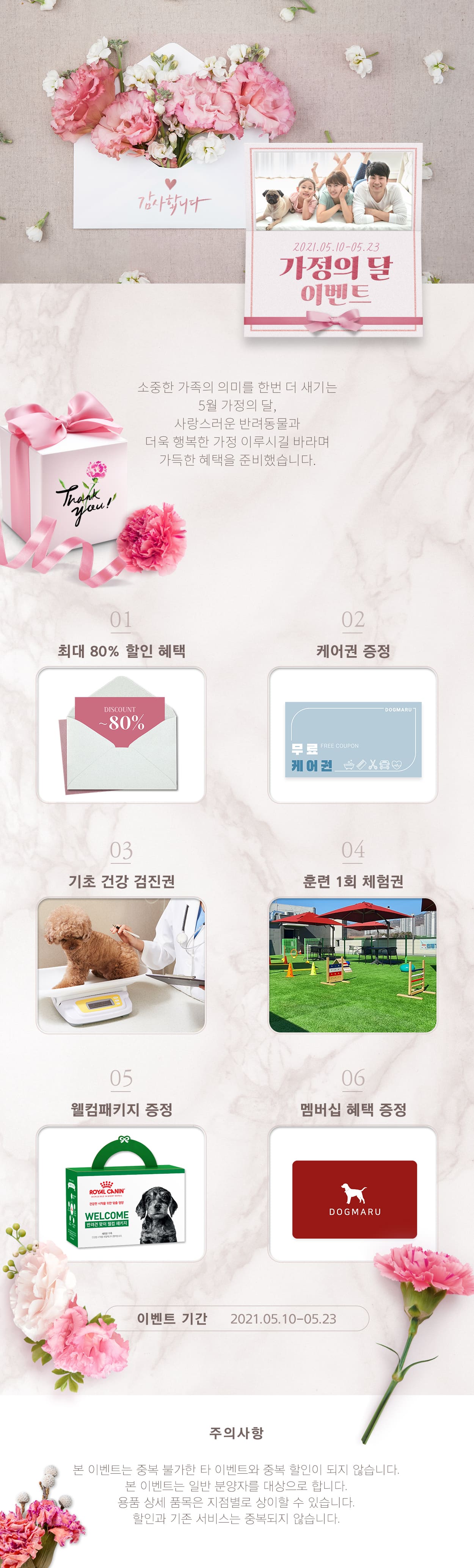 ★도그마루 가정의달 이벤트★