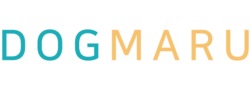 강아지분양 고양이분양 유기견무료분양